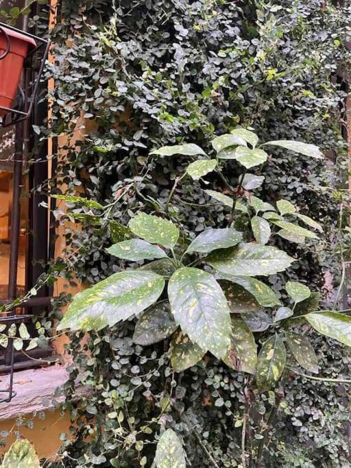 Loft Di Design Nel Cuore Di Milano المظهر الخارجي الصورة